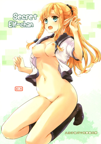 Himitsu no Elf-chan | Secret Elf-chan cover