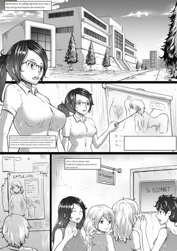dolcett academy cover