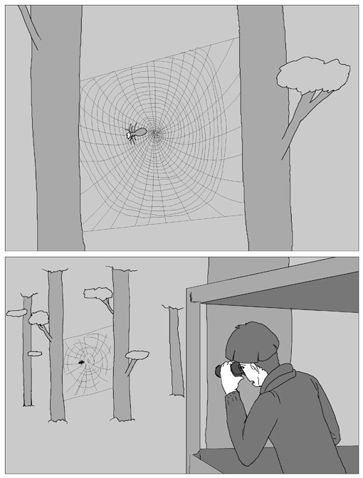 - Manspider 05: Prey page 2 full