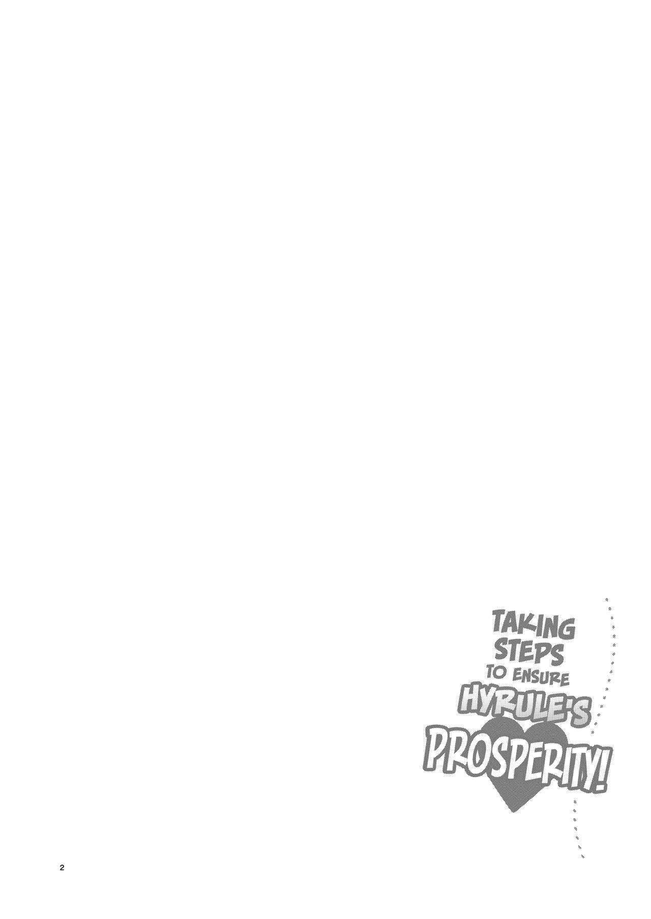 Hyrule Hanei no Tame no Katsudou! | Taking Steps to Ensure Hyrule's Prosperity!   =The Lost Light= page 3 full