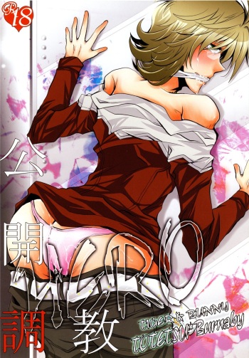 Koukai Choukyou HERO cover