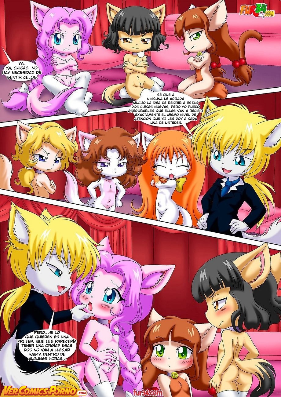 Bienvenida Al Harem De Benedicto page 3 full