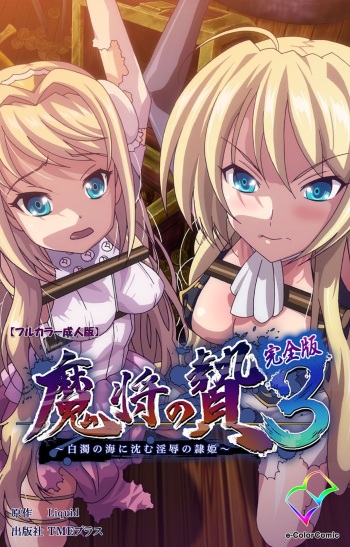 Mashou no Nie 3 Kanzenban cover
