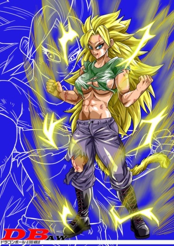 Dragon Ball Artwork cover
