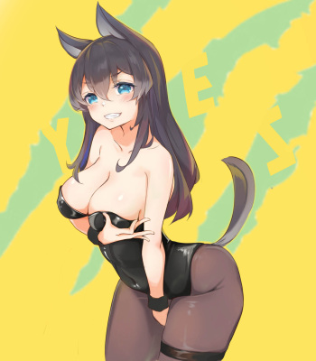 hasiki cover
