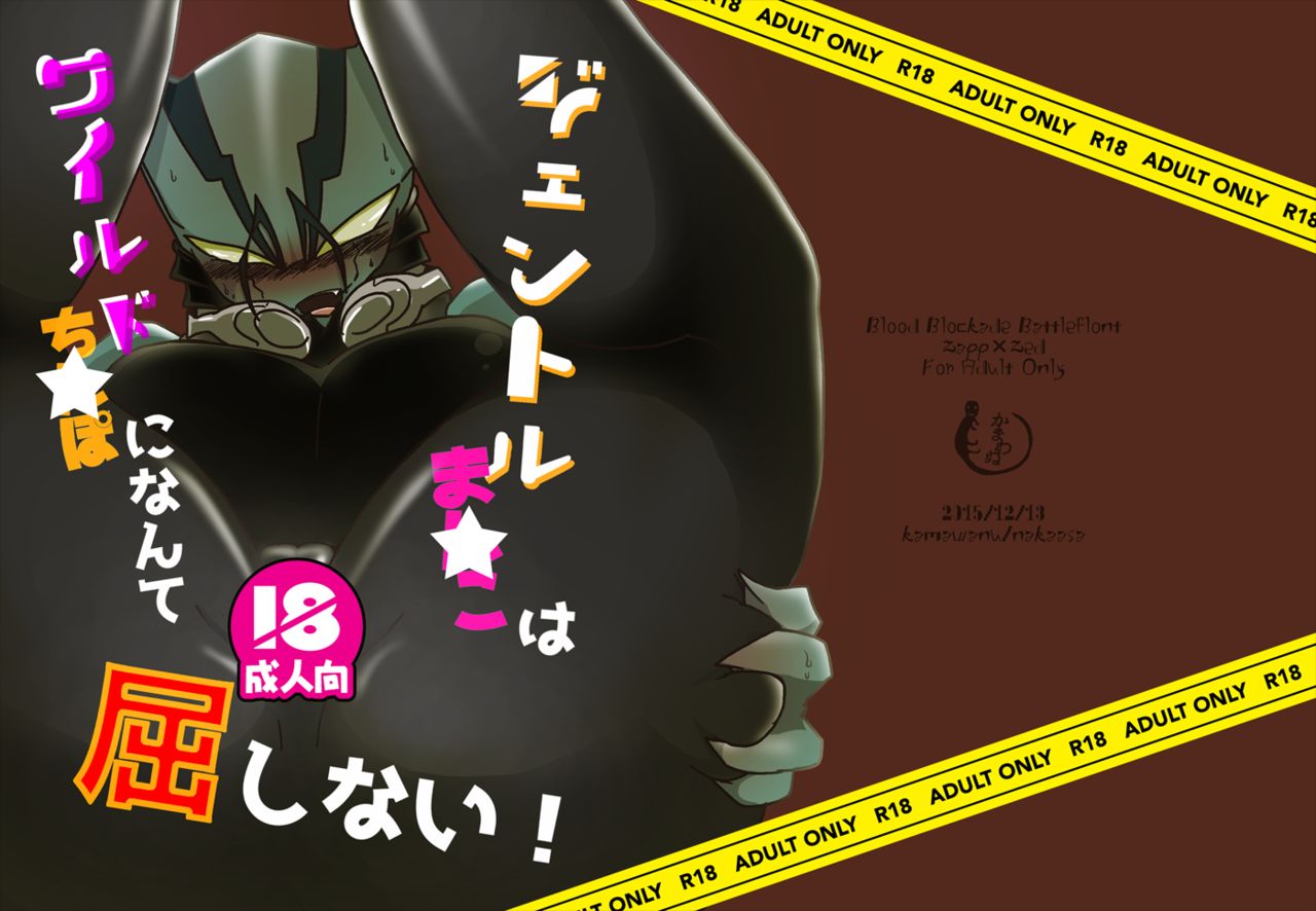 ４冊目のザプツェ本 page 1 full