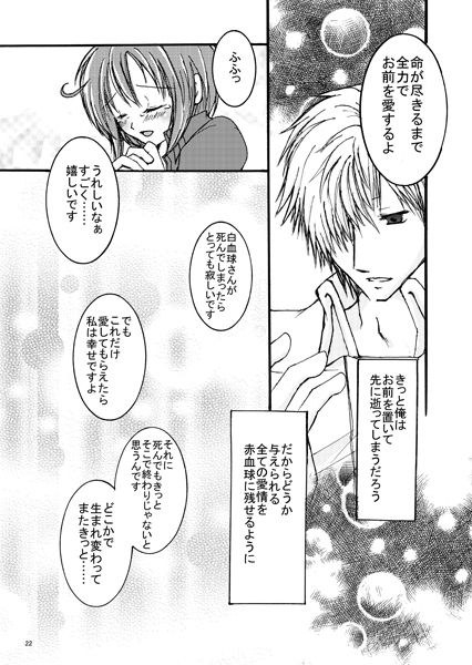 Kono subarashī tainai ni shukufuku o! page 5 full