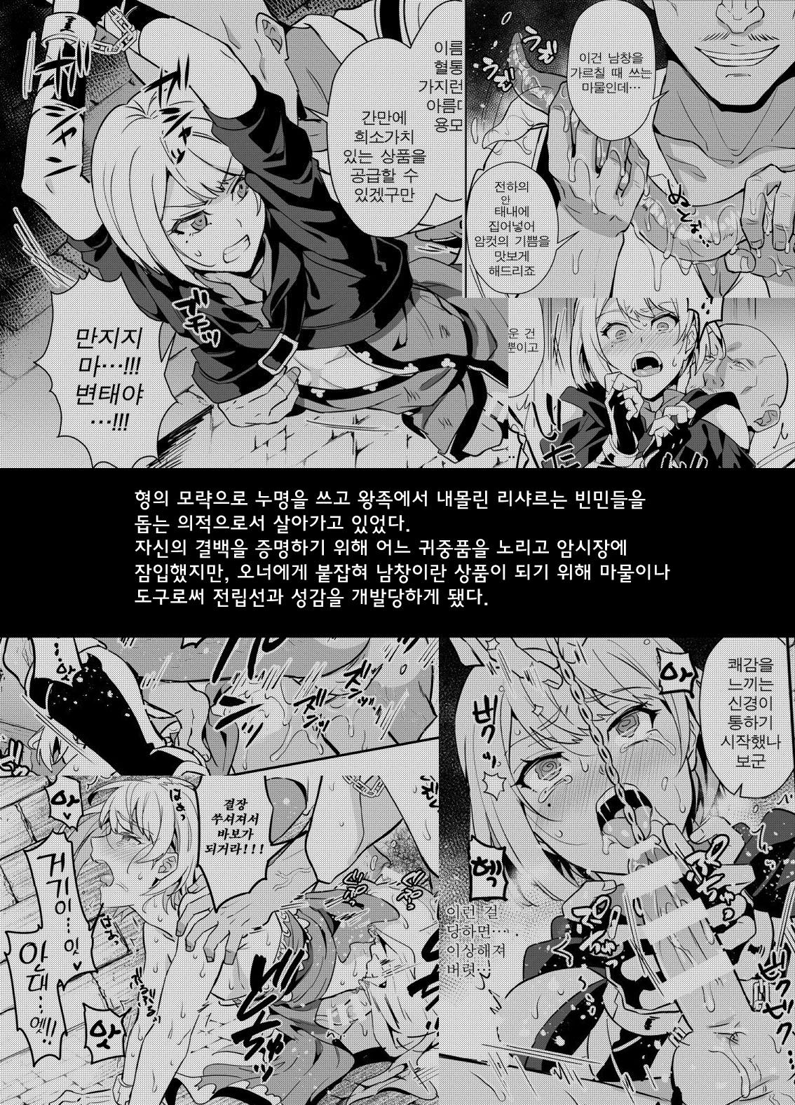Kedakaki Gizoku wa Kainarasarenai Yami Auction Shuppin Hen | 고상한 의적은 길들여지지 않는다 암거래 출품 편 page 3 full