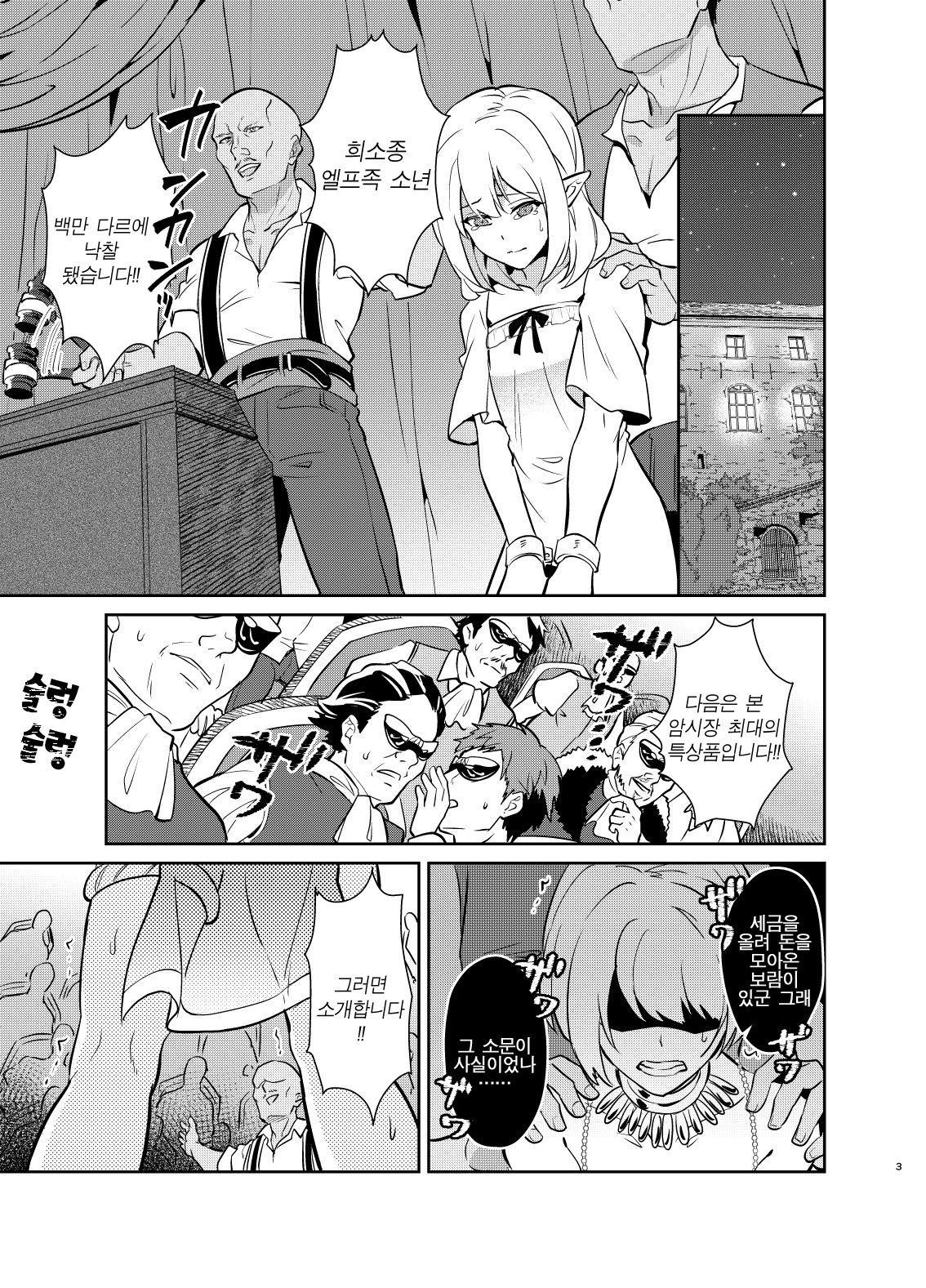Kedakaki Gizoku wa Kainarasarenai Yami Auction Shuppin Hen | 고상한 의적은 길들여지지 않는다 암거래 출품 편 page 4 full
