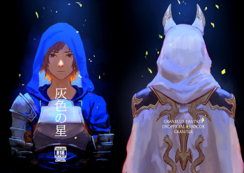 Haiiro no Hoshi cover