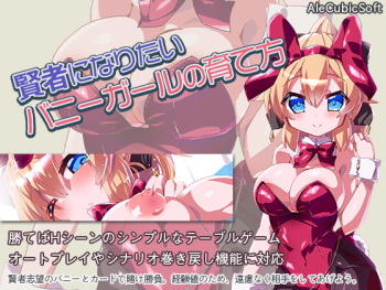 Kenja ni Naritai Bunny Girl no Sodatekata cover
