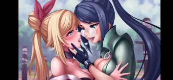 Ninja Maidens cover