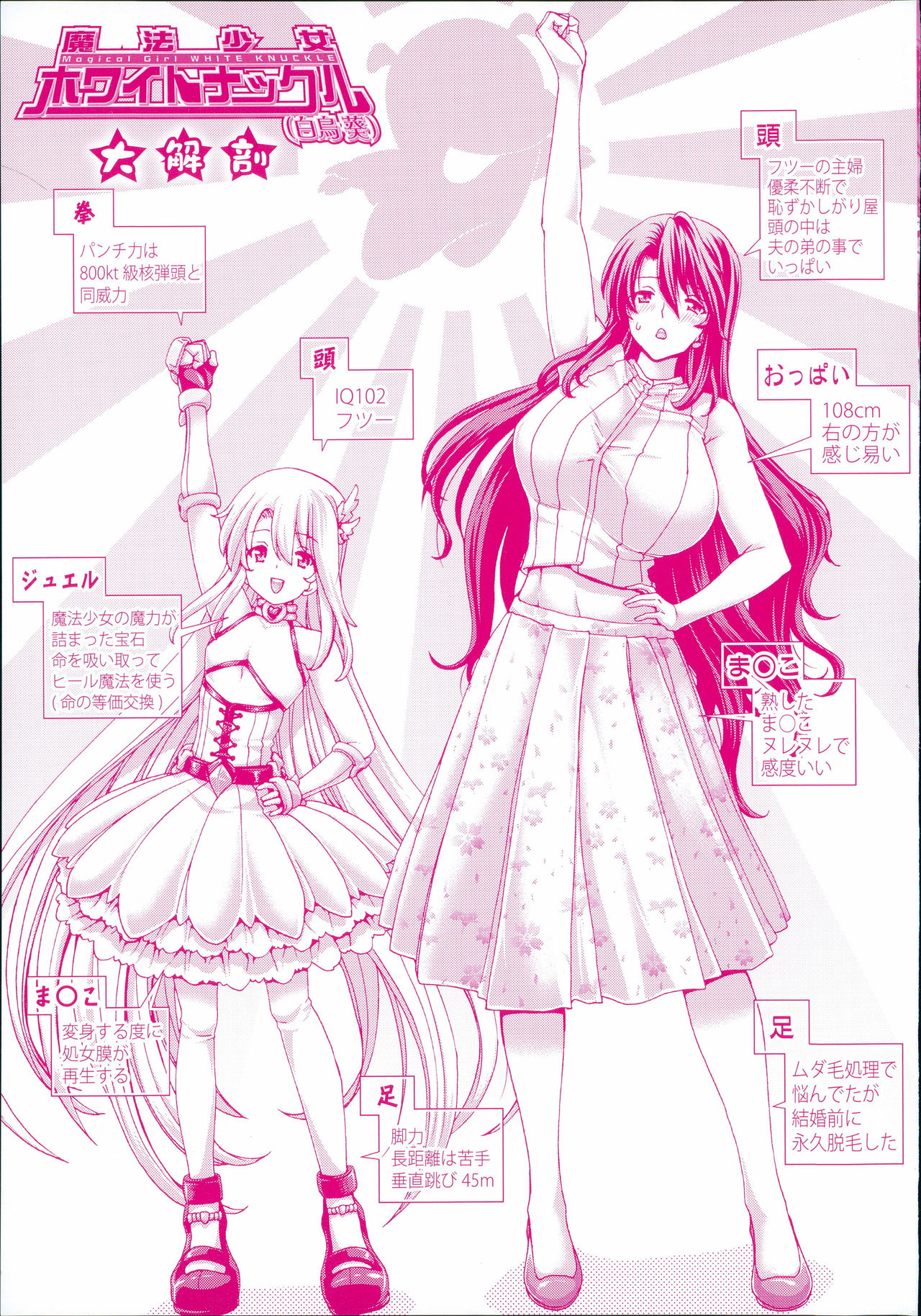 Mesuochi Z ~Kyousei Ninkatsu Haigou Zukan~ page 2 full