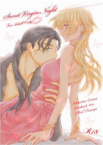 Secret Virgin Night cover