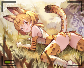 PEPETO cover