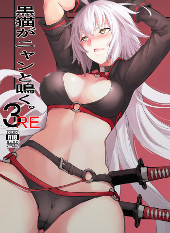 Kuroneko ga Nyan to Naku. 3RE cover