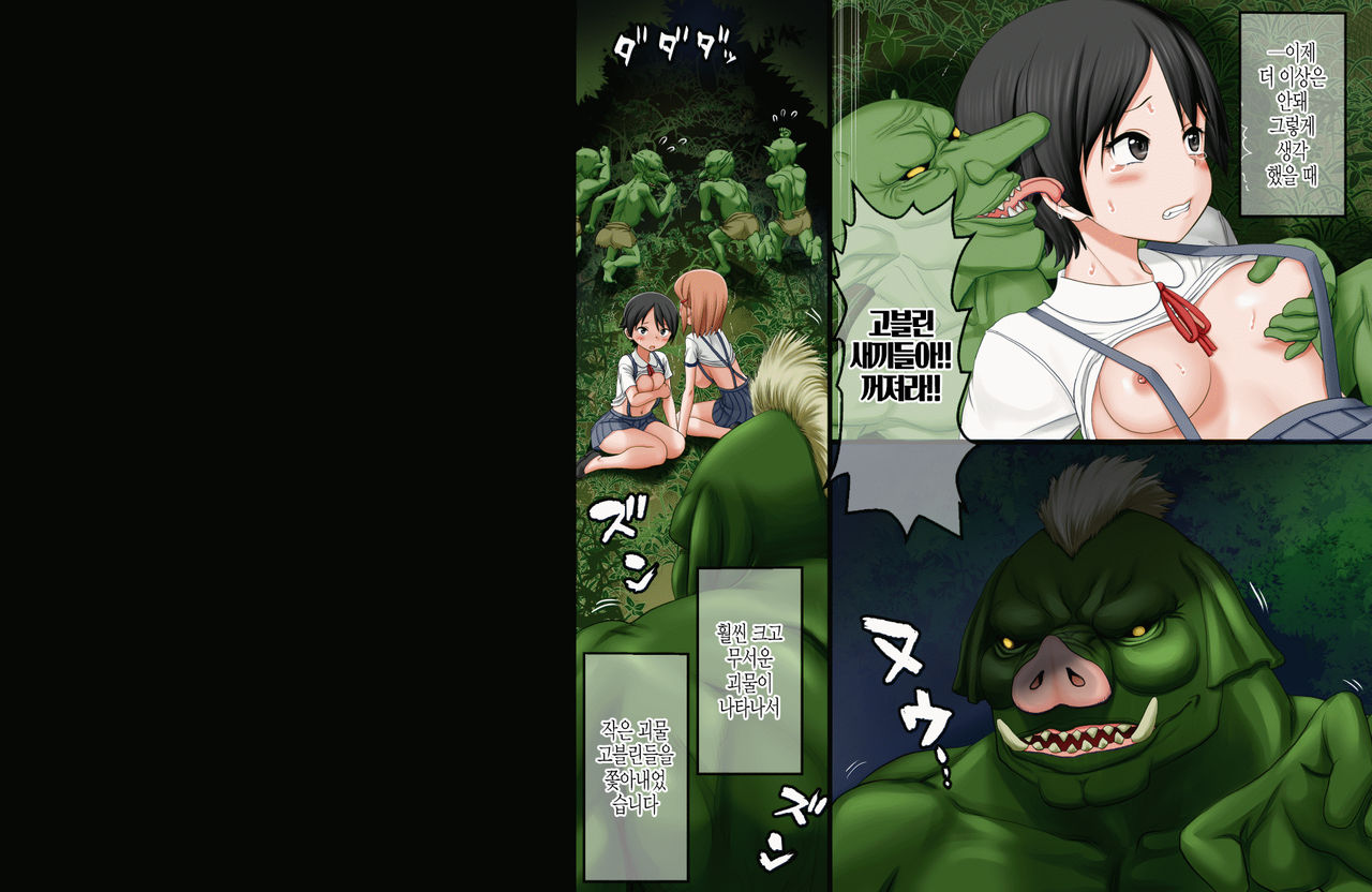 Ikai Yomeiri Kitan ~Gakkou Gaeri ni Mayoikonde Kaibutsu-tachi ni Iroiro Sarechatta Shimai no Hanashi~ | 이괴 가입 기담 ~하교길에 이계로 흘러들어가 괴물들에게 여러가지로 당해버린 자매의 이야기~ page 10 full