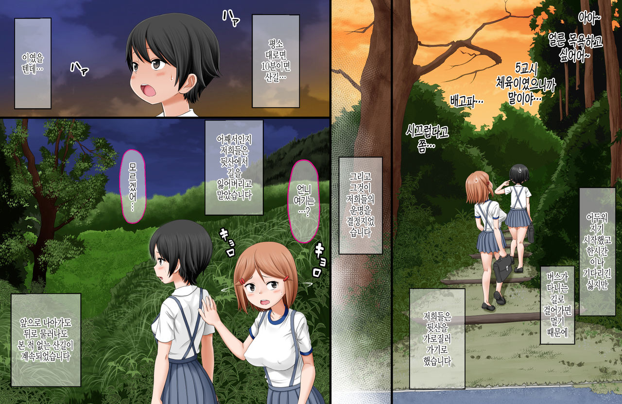 Ikai Yomeiri Kitan ~Gakkou Gaeri ni Mayoikonde Kaibutsu-tachi ni Iroiro Sarechatta Shimai no Hanashi~ | 이괴 가입 기담 ~하교길에 이계로 흘러들어가 괴물들에게 여러가지로 당해버린 자매의 이야기~ page 3 full