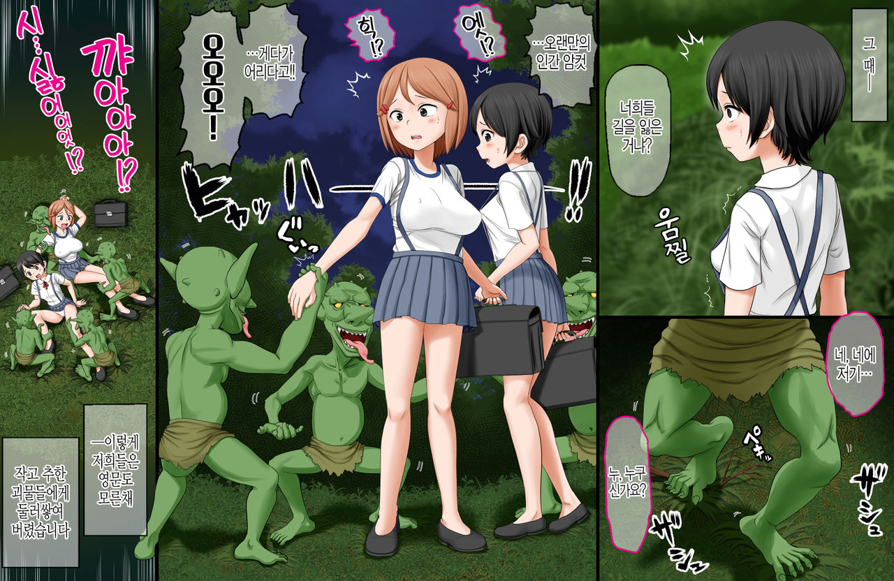 Ikai Yomeiri Kitan ~Gakkou Gaeri ni Mayoikonde Kaibutsu-tachi ni Iroiro Sarechatta Shimai no Hanashi~ | 이괴 가입 기담 ~하교길에 이계로 흘러들어가 괴물들에게 여러가지로 당해버린 자매의 이야기~ page 4 full