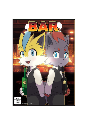 Bar cover