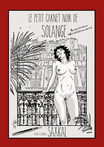 Le Petit carnet noir de Solange cover
