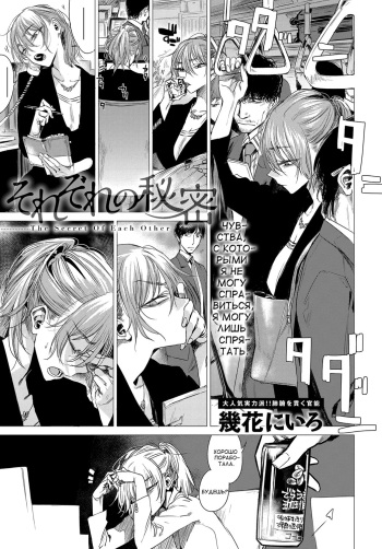 Sorezore no Himitsu - The Secret of Each Other cover