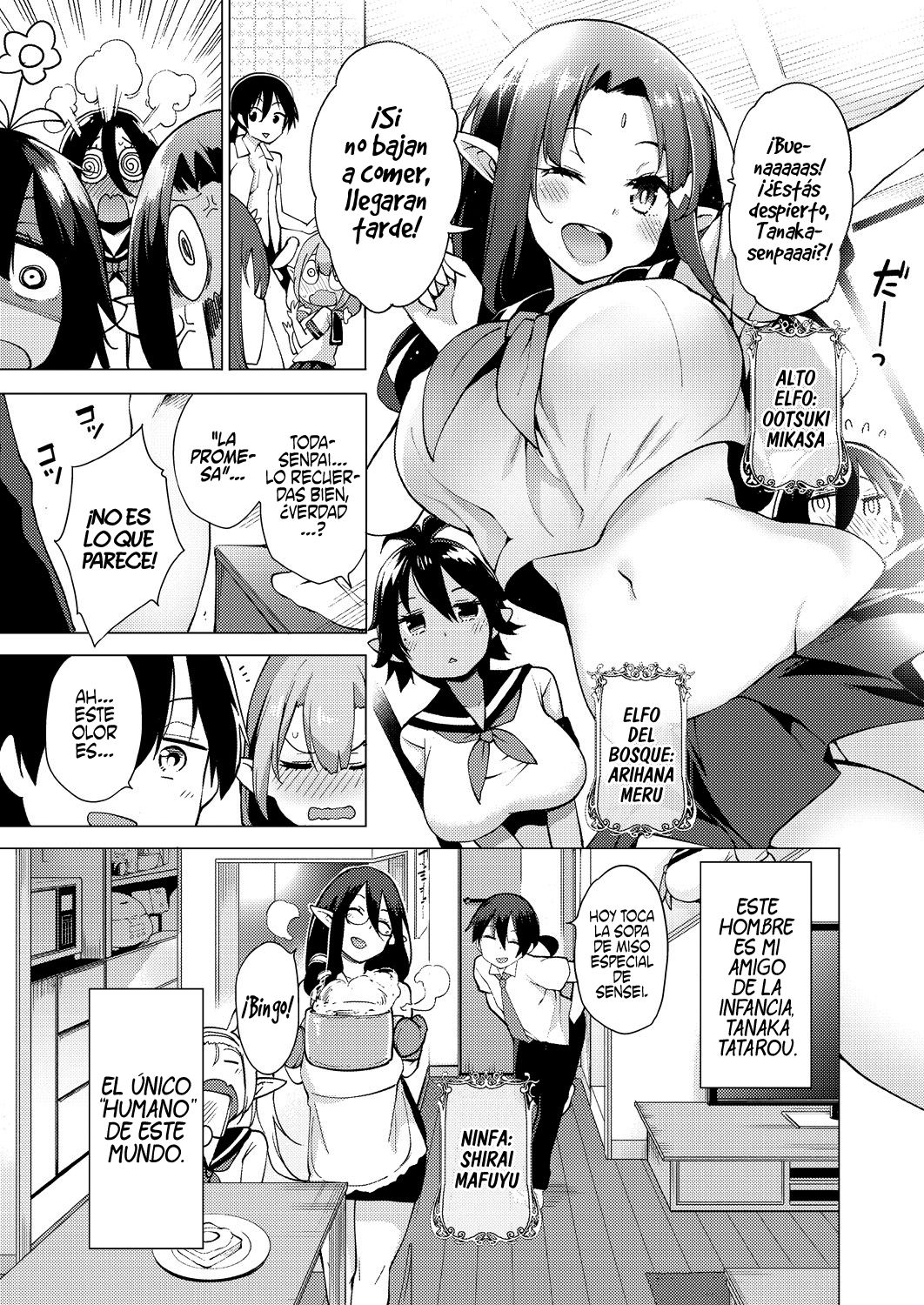 Yousei Harem Daibakuhatsu | Harem Mágico Explosivo Ch. 1 page 3 full