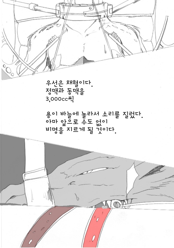 ryuu zoku no hokaku ni seikou  | 용의 포획에 성공 page 10 full