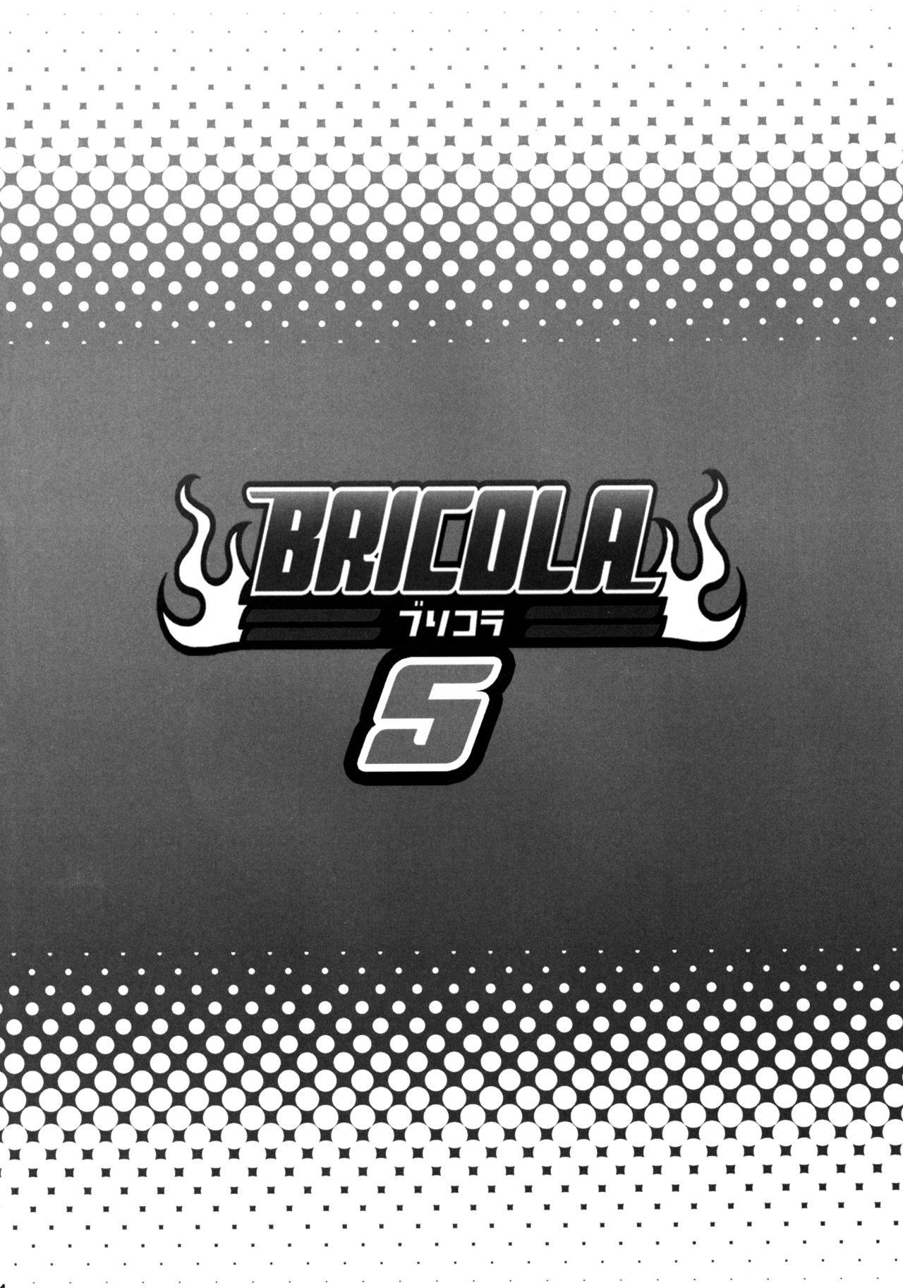 BRICOLA 5 page 2 full