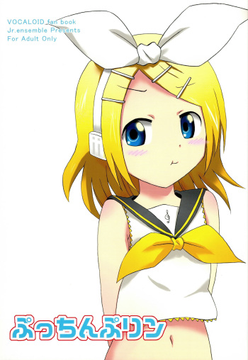 Pucchin Pudding cover