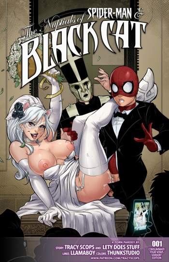 The Nuptials of Spider-Man &amp; Black Cat cover