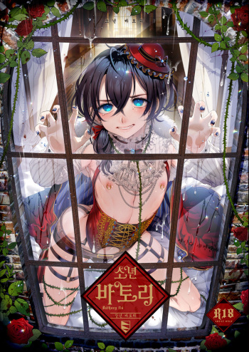 Shounen Bathory | 소년 바토리 cover