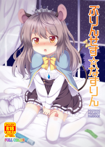 Princess Nazrin cover