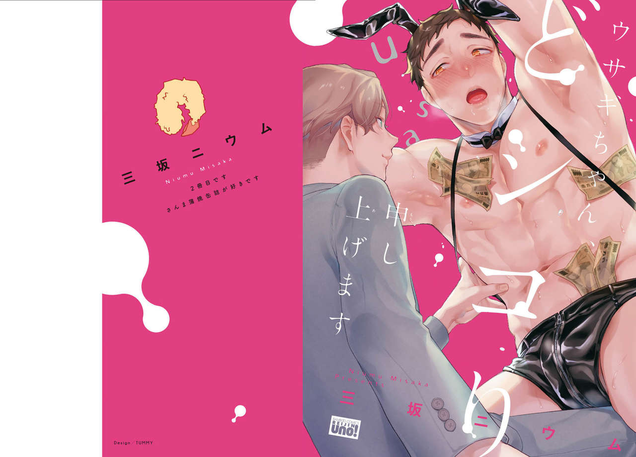 Usagi-chan, Doshikori Moushiagemasu page 3 full