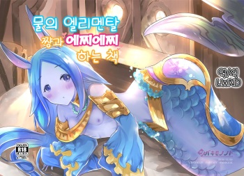 Mizu no Elemental-chan to Echiechi suru Hon | 물의 엘리멘탈 쨩과 에찌에찌 하는 책 cover