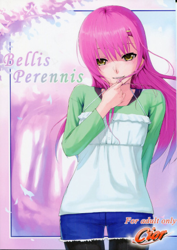 Bellis Perennis cover