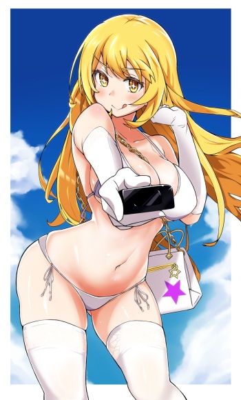 ELID cover