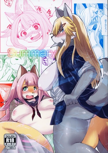 Summary cover