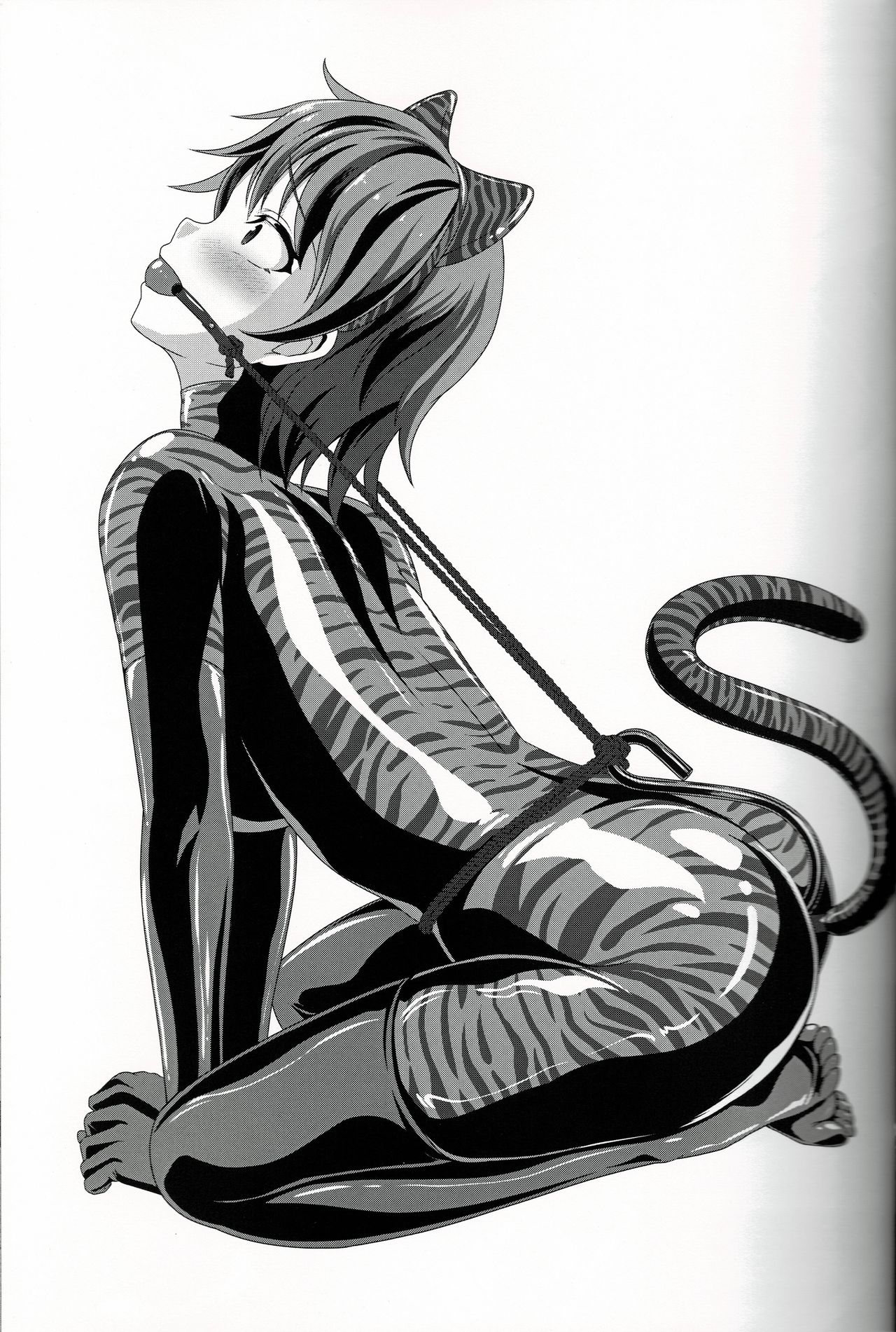 Touhou Gomu Emaki Vol.2 ~Shirokuro no Emaki~ page 6 full