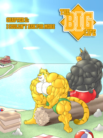The Big Life 11. I couldn´t ask for more cover