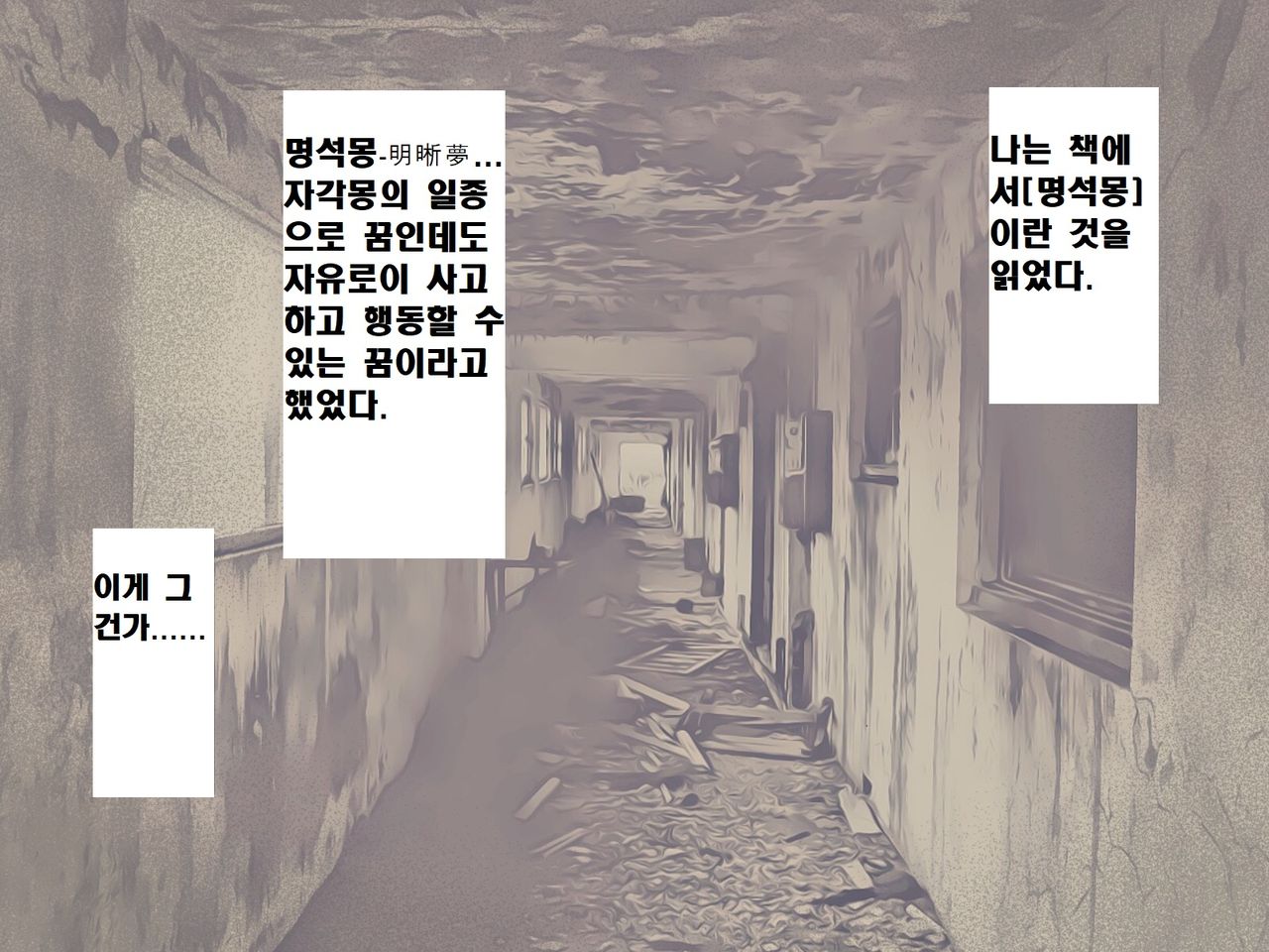 Meisekimu no Haikyo | 자각몽의 폐허 page 4 full