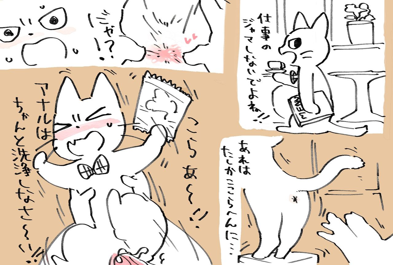 shikaruneko page 7 full