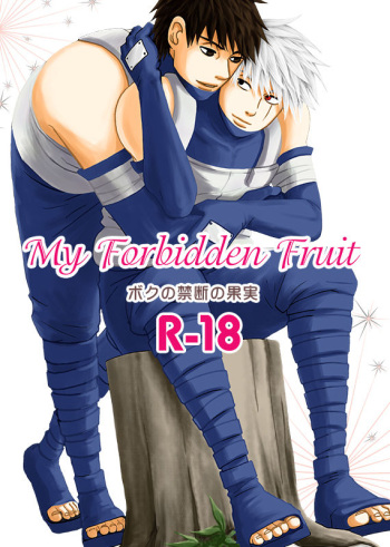 Boku no Kindan no Kajitsu - My Forbidden Fruit cover