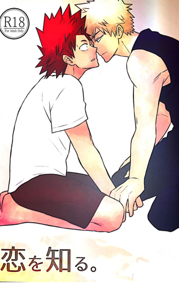 Koi o Shiru. cover