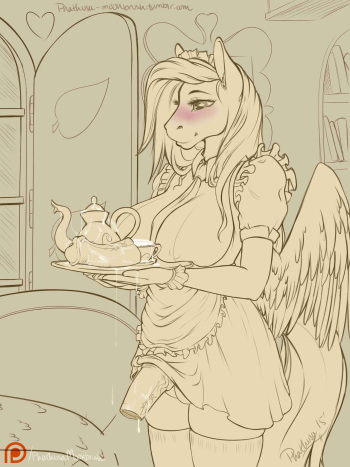 Penectomy cover