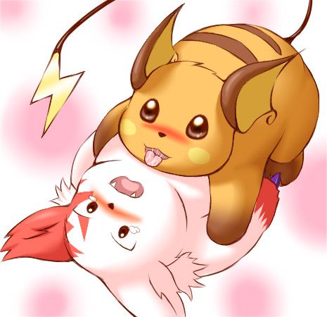 wildcritters.ws pre-wipe siterip 8000~9999 page 1 full