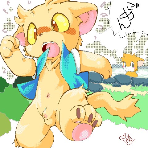wildcritters.ws pre-wipe siterip 8000~9999 page 10 full