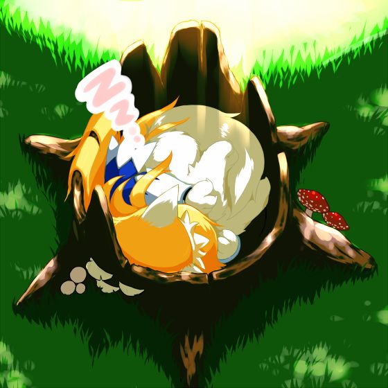 wildcritters.ws pre-wipe siterip 8000~9999 page 3 full
