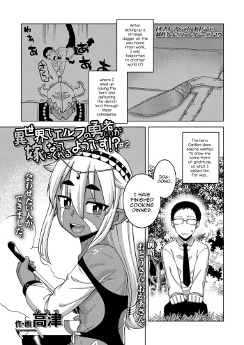 Isekai de Elf no Yuusha  ga Yome ni natte kureru you desu!? #2 cover