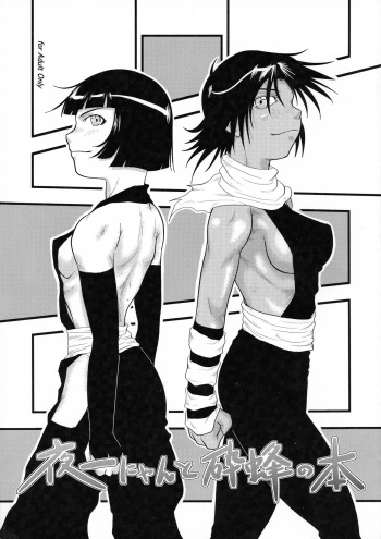 Yoruichi Nyan to Soi Fon no Hon cover